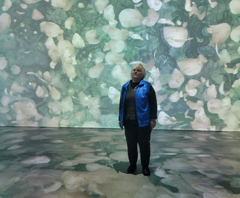 Christine's Reflections on Van Gogh Exhibition