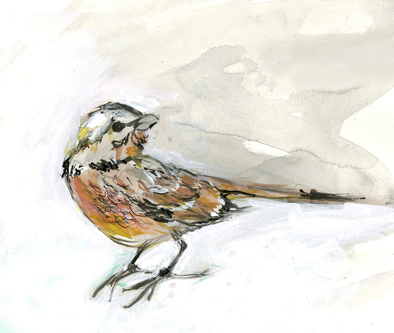 Blog: Called to Paint Birds