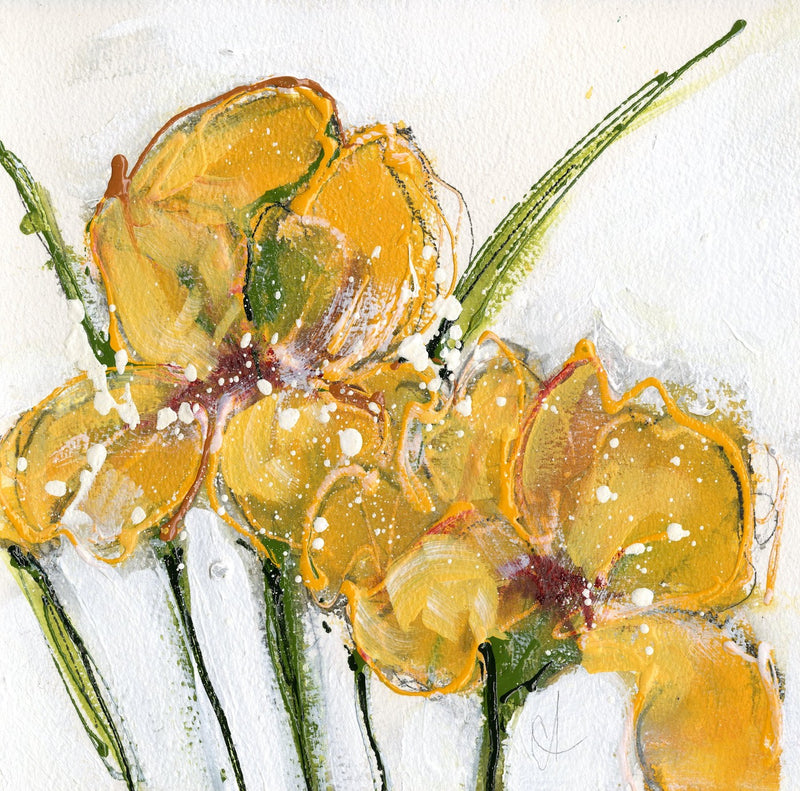 Blog: Mom's Yellow Iris