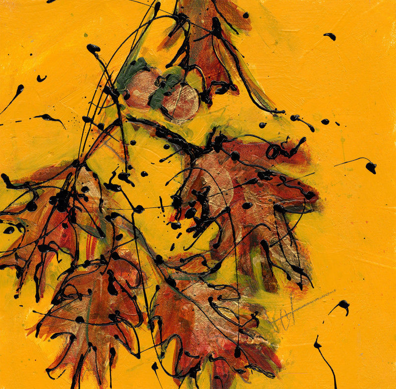 Aesthetic Moment: Oak Leaves