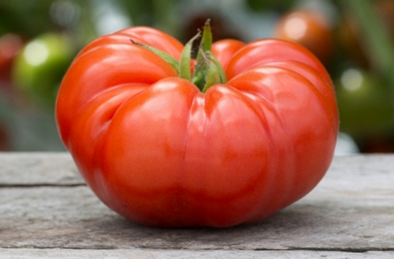Just Another Beefsteak Tomato