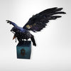 Blackbird