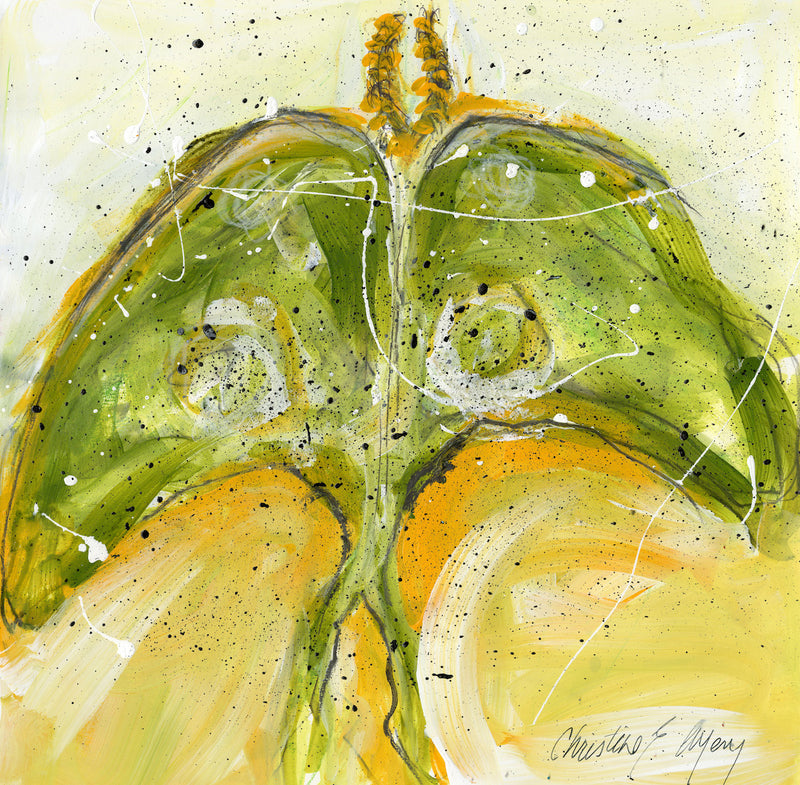 Watermedia painting, Luna Moth by Christine Alfery