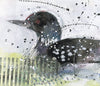 Watermedia painting, Summer Loon by Christine Alfery