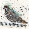 Watermedia painting, Grouse by Christine Alfery