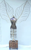 Wings