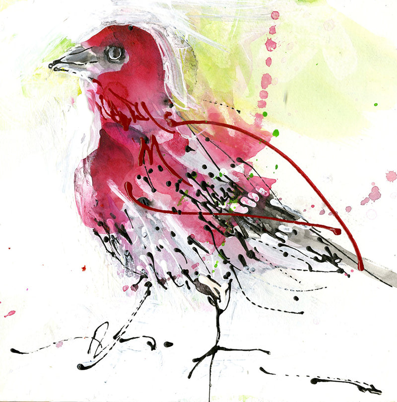 Water media painting, Little Red Bird Rose Colored Finch by Christine Alfery