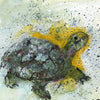 Watermedia painting, Mr Turtle by Christine Alfery