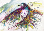 Watermedia painting, Rainbow Feathers by Christine Alfery