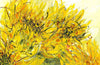 Water media painting, Sunflowers II by Christine Alfery