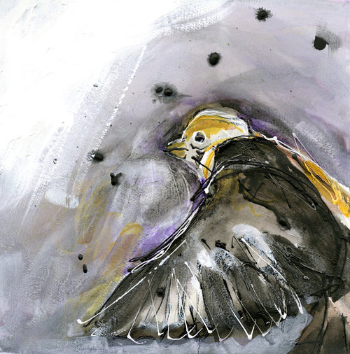 Water media painting, Yellow Headed Black Bird by Christine Alfery