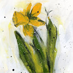 Watermedia painting, Daffodil by Christine Alfery