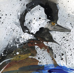 Watermedia painting, Merganser by Christine Alfery