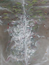Water media painting, Pine Trees and Lily Pads by Christine Alfery