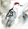 Water media painting, Woodpecker by Christine Alfery